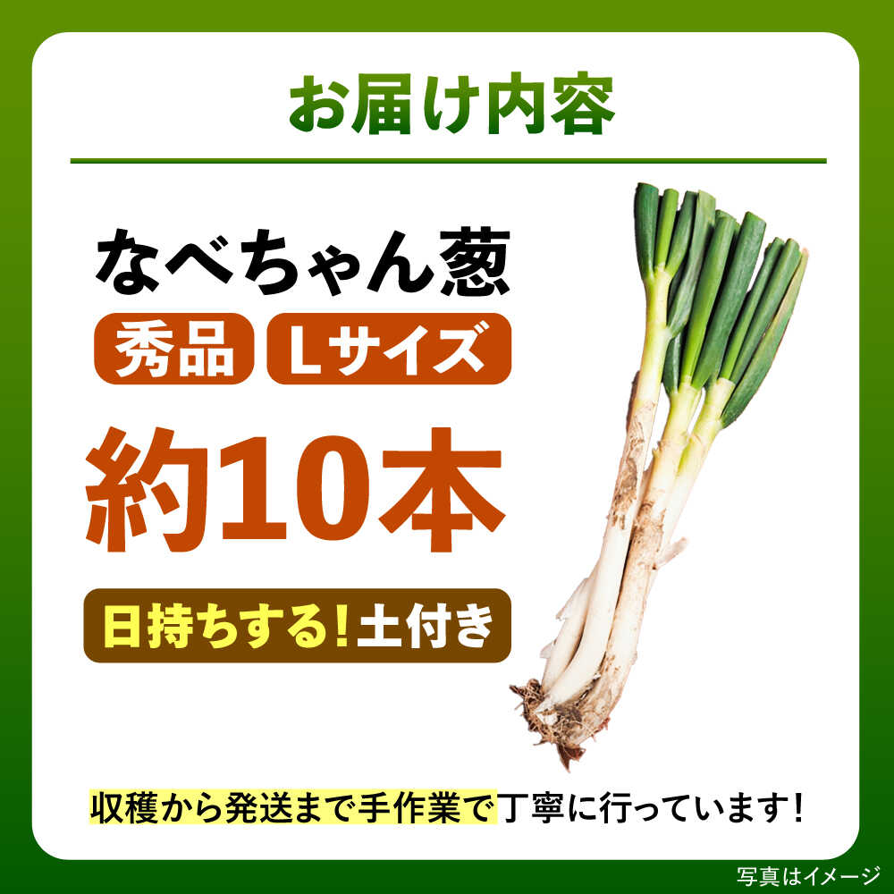 【ふるさと納税】【先行予約】【2026年11月発送開始】 ねぎ 焼いてそのまま美味しい！なべちゃん葱(土付き) 秀品 Lサイズ2.5kg 約10本 ねぎ ネギ 野菜 白ネギ 白ねぎ 長ネギ 長ねぎ 鍋 薬味 お取り寄せ グルメ 人気 おすすめ 島根県雲南市/山さんファーム[AICO004] - 画像2