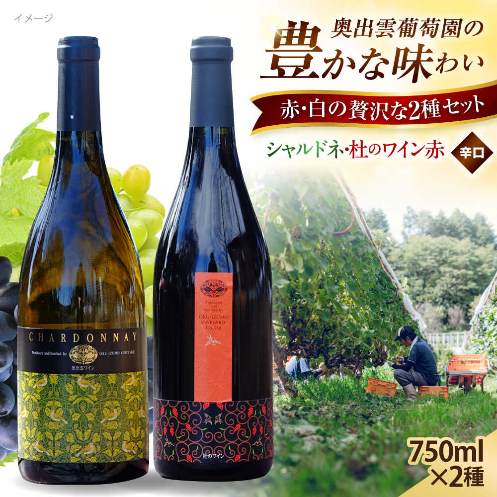 奥出雲葡萄園 シャルドネ ・杜のワイン赤 国産 ワイン セット 島根県雲南市/有限会社奥出雲葡萄園[AICS005] 赤ワイン 白ワイン 飲み比べ 日本ワイン 国産ワイン 島根ワイン 厳選 赤 白 ブドウ 葡萄 お酒 酒 辛口 冷蔵 ギフト 贈り物 人気 おすすめ