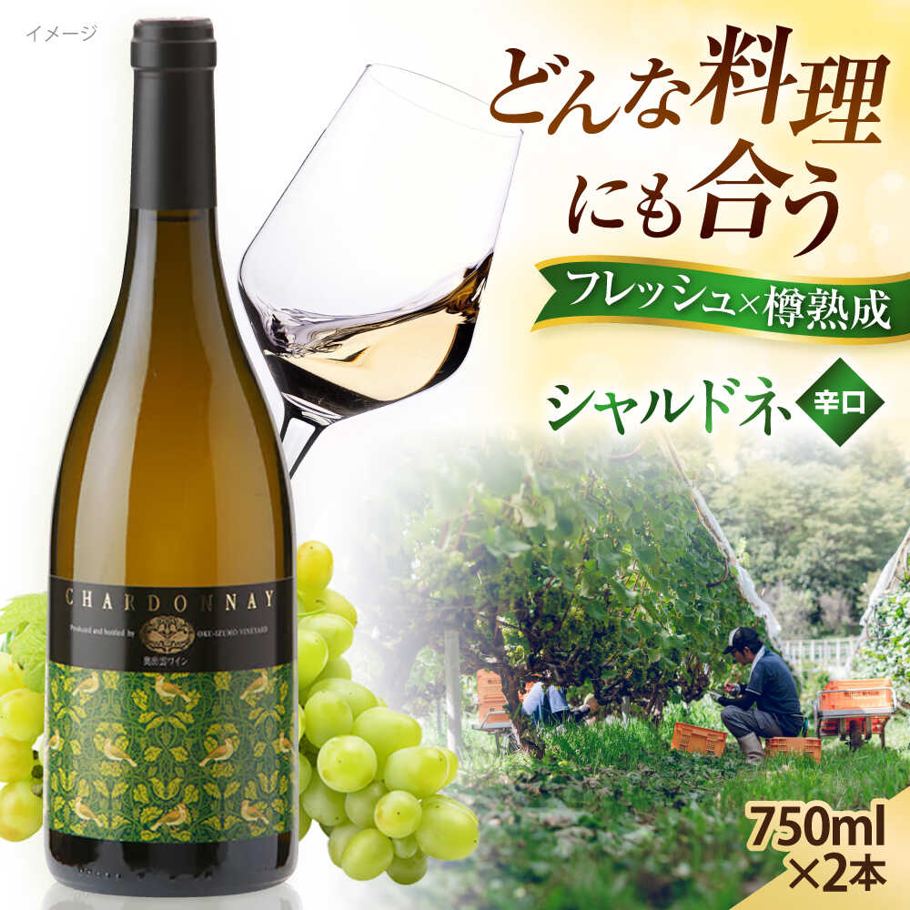 【年内発送】シャルドネ 奥出雲葡萄園 シャルドネ (白ワイン) 2本セット 国産 ワイン セット 島根県雲南市/有限会社奥出雲葡萄園[AICS019] 白ワイン 熟成 樽熟成 わいん 日本ワイン 国産ワイン 島根 ぶどう ブドウ 葡萄 お酒 アルコール ワインセット 冷蔵