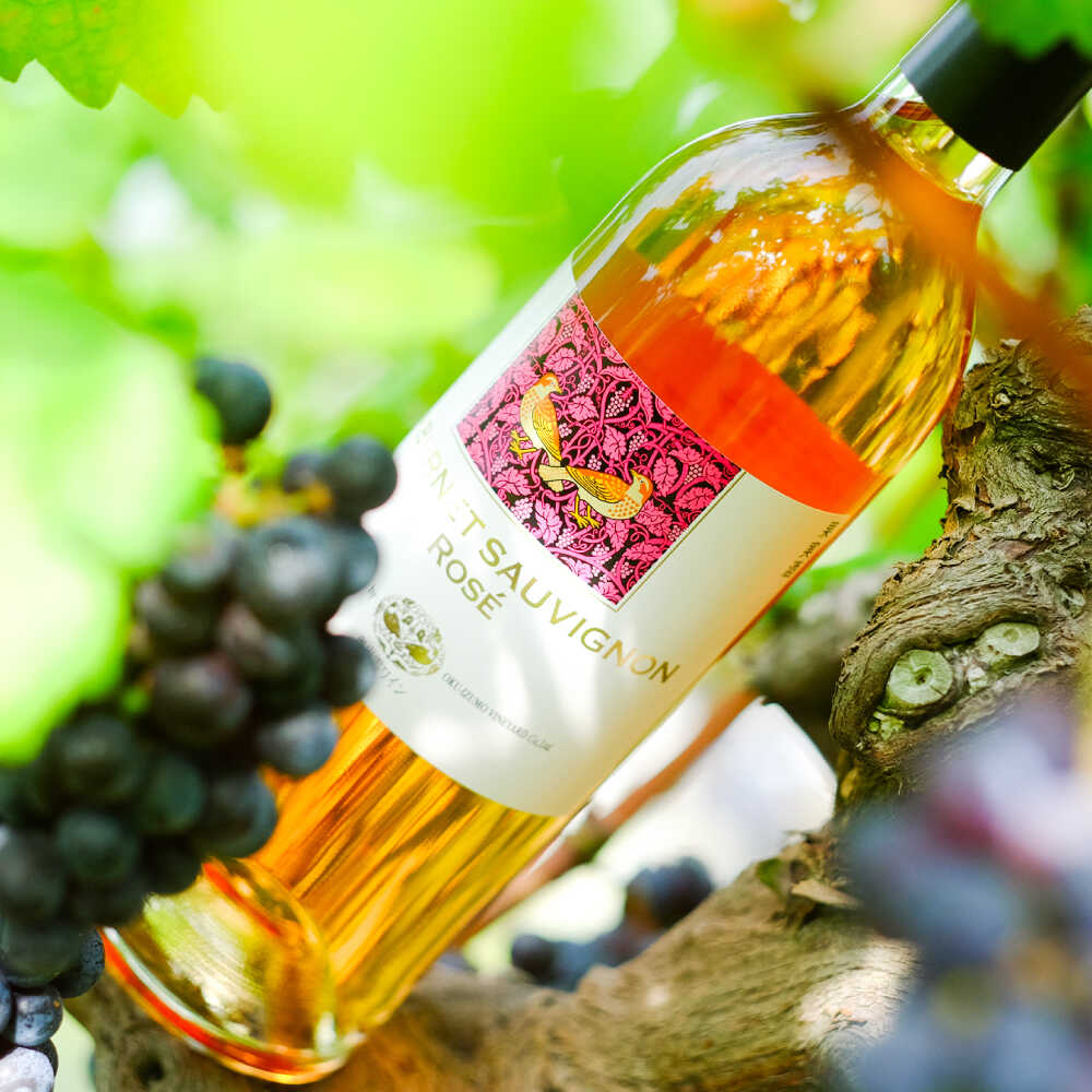 【ふるさと納税】奥出雲葡萄園 カベルネソーヴィニヨン・ロゼ 4本セット 国産 ワイン セット 島根県雲南市/有限会社奥出雲葡萄園[AICS021] ロゼワイン 熟成 日本ワイン 国産ワイン 島根ワイン ブドウ 葡萄 お酒 酒 フルーティー 冷蔵 贈り物 人気 おすすめ 低温発酵 サムネイル3