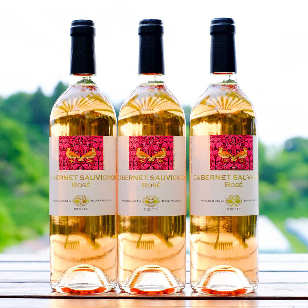 【ふるさと納税】奥出雲葡萄園 カベルネソーヴィニヨン・ロゼ 3本セット 国産 ワイン セット 島根県雲南市/有限会社奥出雲葡萄園[AICS022] ロゼワイン 熟成 日本ワイン 国産ワイン 島根ワイン ブドウ 葡萄 お酒 酒 フルーティー 冷蔵 贈り物 人気 おすすめ 低温発酵 サムネイル2