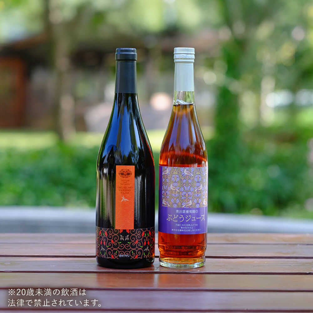 【ふるさと納税】奥出雲葡萄園 杜のワイン赤・ぶどうジュースセット 国産 ジュース セット 島根県雲南市/有限会社奥出雲葡萄園[AICS026] 赤ワイン 日本ワイン 国産ワイン 島根ワイン 厳選 赤 ブドウ 葡萄 お酒 酒 ジュース 辛口 冷蔵 ギフト 贈り物 人気 おすすめ サムネイル2
