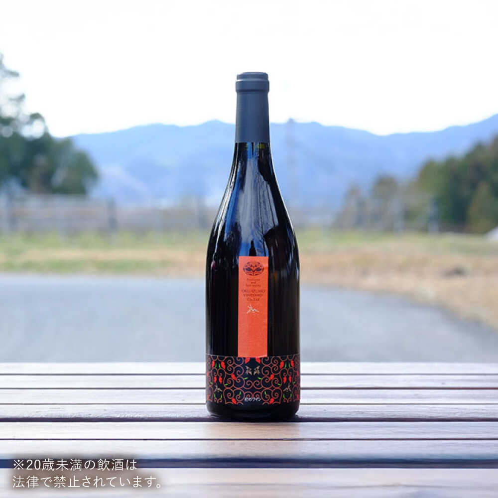 【ふるさと納税】奥出雲葡萄園 杜のワイン赤 1本 国産 ワイン セット 島根県雲南市/有限会社奥出雲葡萄園[AICS044] 赤ワイン 赤ワインセット ギフト 贈り物 プレゼント お祝い 日本ワイン 国産ワイン 島根ワイン 赤 ぶどう ブドウ 葡萄 お酒 酒 辛口 冷蔵 人気 サムネイル2