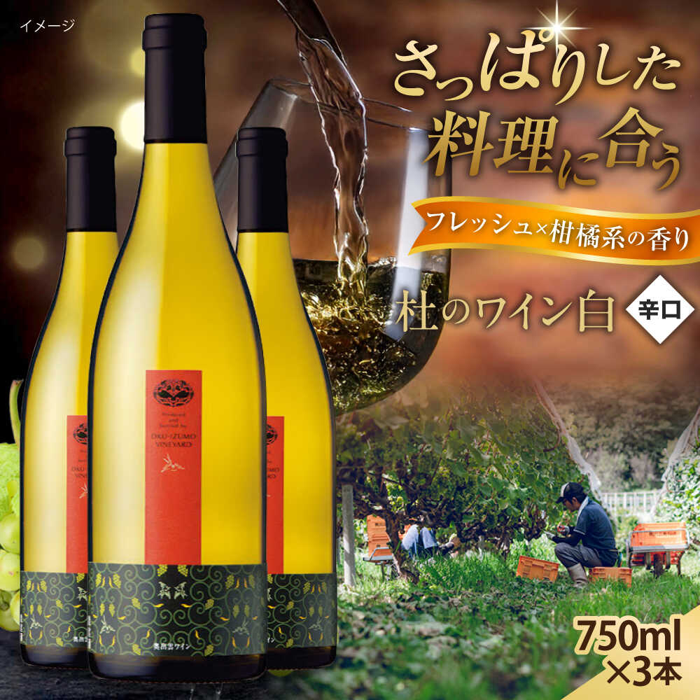 奥出雲葡萄園 杜のワイン白　3本セット 国産 ワイン セット 島根県雲南市/有限会社奥出雲葡萄園[AICS052]
