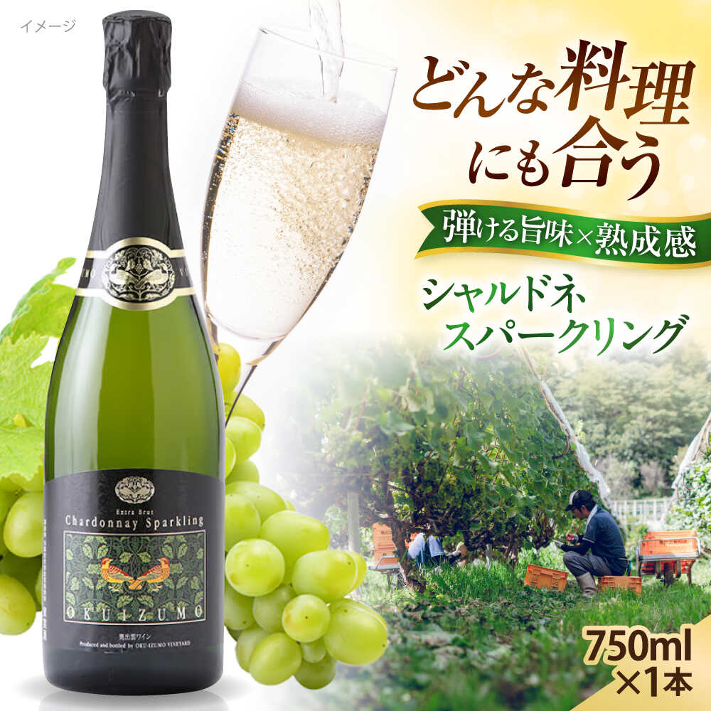 奥出雲葡萄園 シャルドネスパークリング 国産 ワイン セット 島根県雲南市/有限会社奥出雲葡萄園[AICS058] 白ワイン 熟成 わいん 日本ワイン 国産ワイン 島根ワイン ぶどう ブドウ 葡萄 お酒 アルコール ワインセット 人気 おすすめ 冷蔵