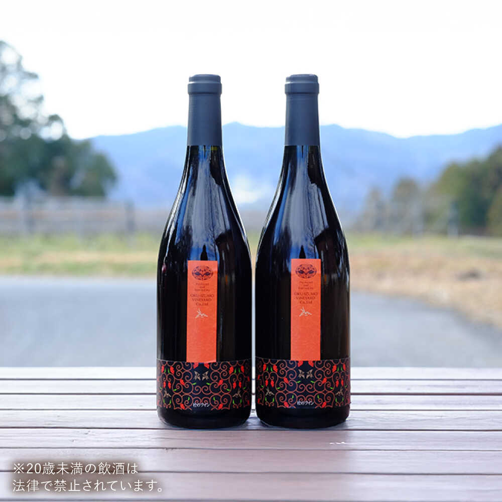 【ふるさと納税】奥出雲葡萄園 杜のワイン赤 2本セット 国産 ワイン セット 島根県雲南市/有限会社奥出雲葡萄園[AICS060] 赤ワイン 赤ワインセット ギフト 贈り物 プレゼント お祝い 日本ワイン 国産ワイン 島根ワイン 赤 ぶどう ブドウ 葡萄 お酒 酒 辛口 冷蔵 人気 サムネイル2