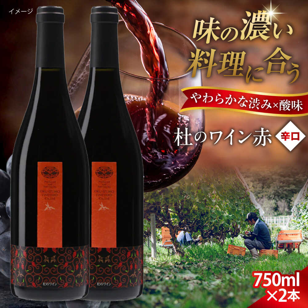 奥出雲葡萄園 杜のワイン赤 2本セット 国産 ワイン セット 島根県雲南市/有限会社奥出雲葡萄園[AICS060] 赤ワイン 赤ワインセット ギフト 贈り物 プレゼント お祝い 日本ワイン 国産ワイン 島根ワイン 赤 ぶどう ブドウ 葡萄 お酒 酒 辛口 冷蔵 人気
