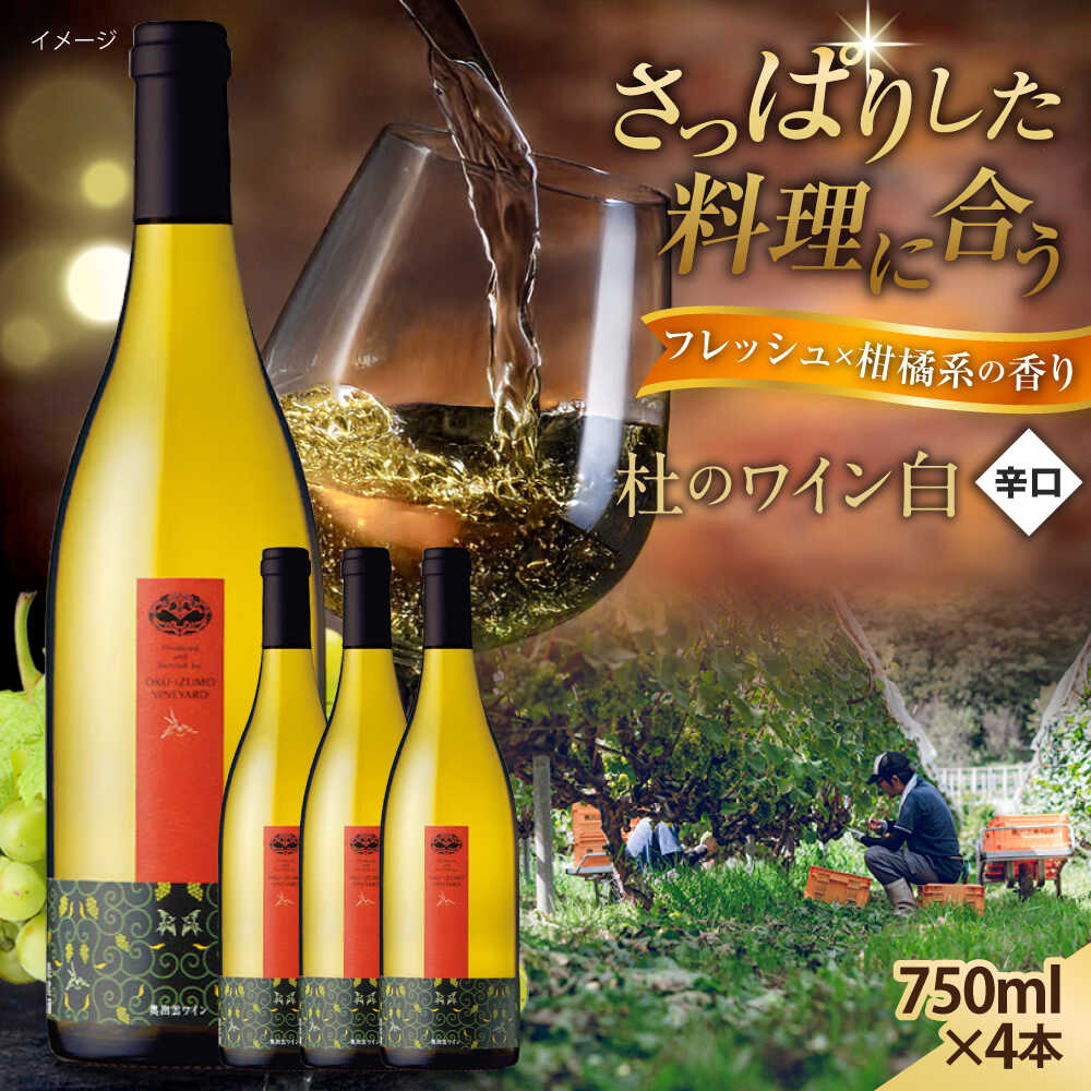奥出雲葡萄園 杜のワイン白　4本セット 国産 ワイン セット 島根県雲南市/有限会社奥出雲葡萄園[AICS061]