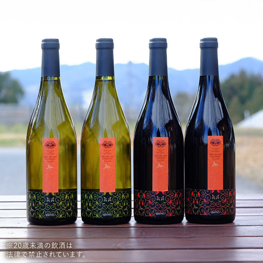 【ふるさと納税】奥出雲葡萄園 杜のワイン白2本／赤2本セット 国産 ワイン セット 島根県雲南市/有限会社奥出雲葡萄園[AICS062] サムネイル2