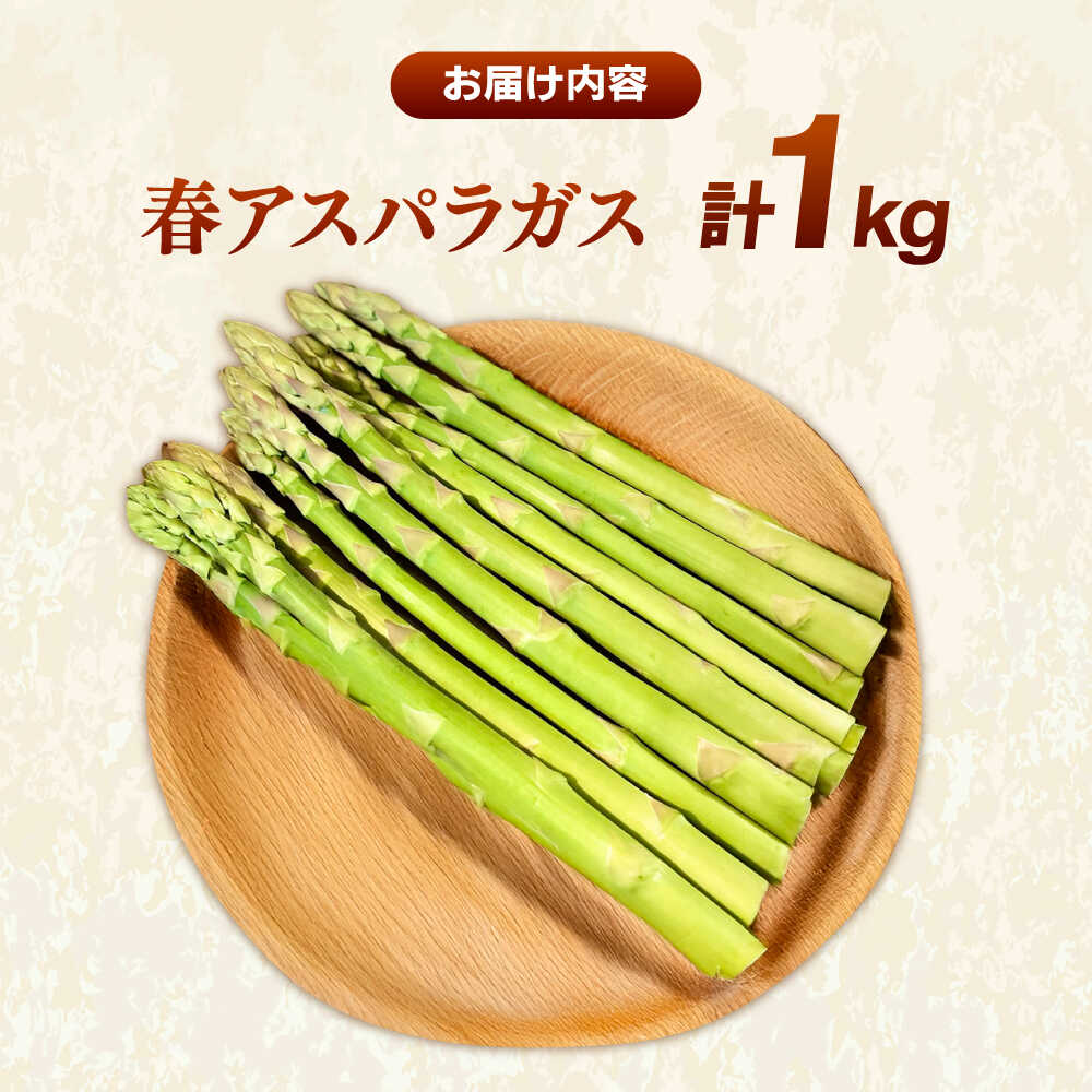 【ふるさと納税】【先行予約】【2026年4月以降発送】春アスパラガス 1kg 島根県雲南市/tasten 野菜 アスパラ 数量限定 10個[AIEJ001] - 画像2