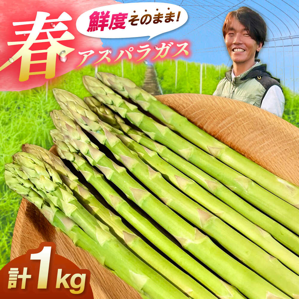 【先行予約】【2026年4月以降発送】春アスパラガス 1kg 島根県雲南市/tasten 野菜 アスパラ 数量限定 10個[AIEJ001]