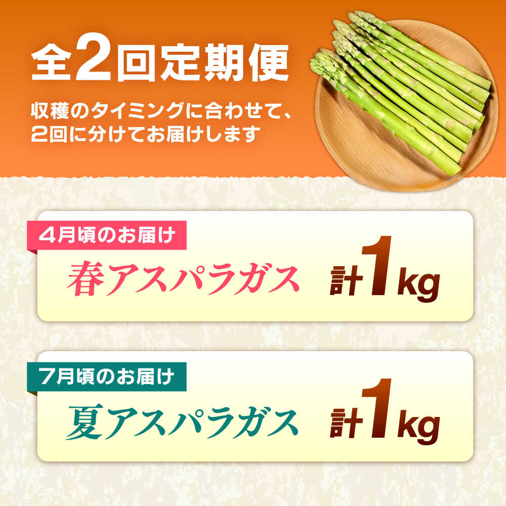 【ふるさと納税】【全2回定期便】【先行予約】【2026年4月以降発送】春＆夏アスパラガス 各1kg 島根県雲南市/tasten 野菜 アスパラ 数量限定 20個[AIEJ002] - 画像2