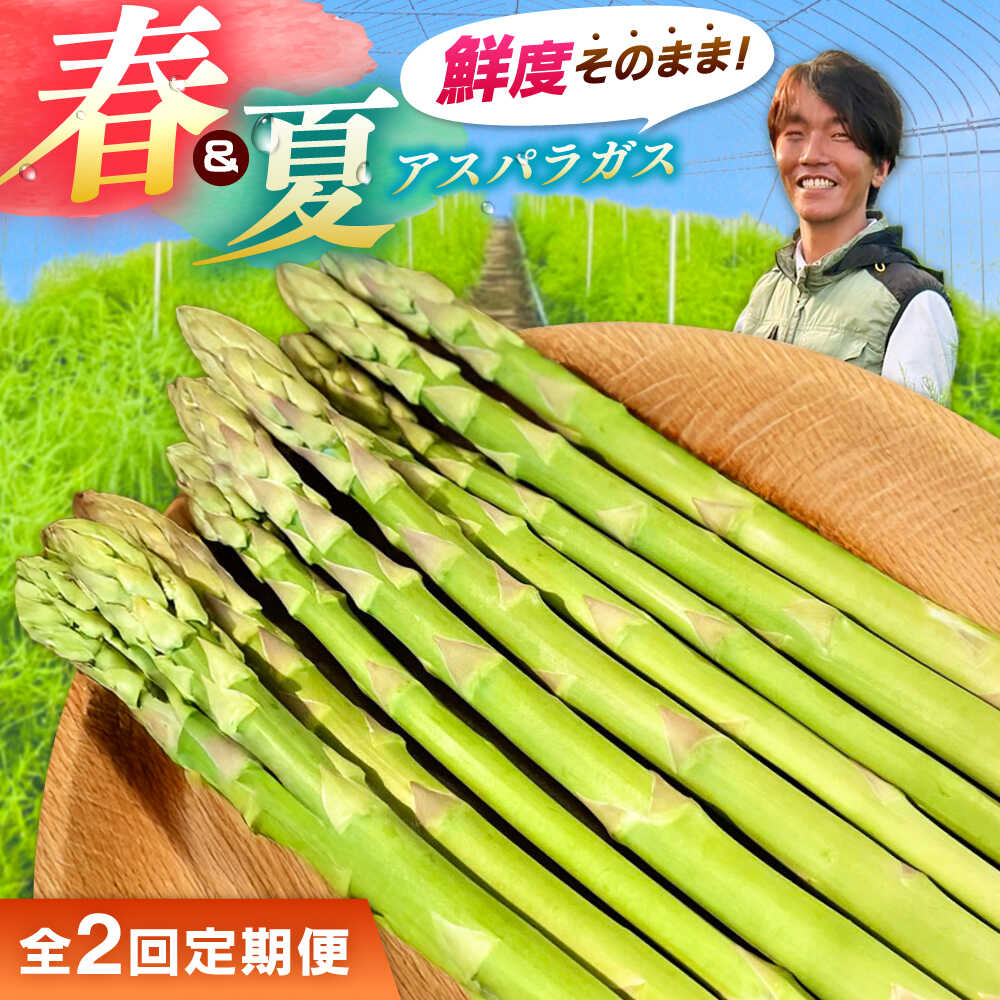 【全2回定期便】【先行予約】【2026年4月以降発送】春＆夏アスパラガス 各1kg 島根県雲南市/tasten 野菜 アスパラ 数量限定 20個[AIEJ002]