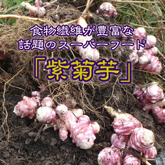 【ふるさと納税】菊芋 きくいもポタージュ（4袋入り）× 4セット - 画像2