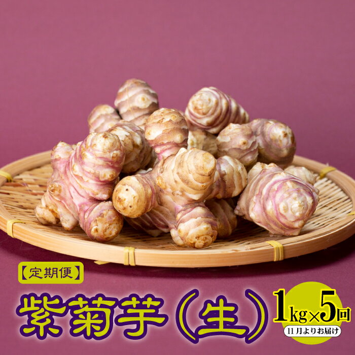 【定期便】紫菊芋（生）1kg×5回　2026年11月よりお届け