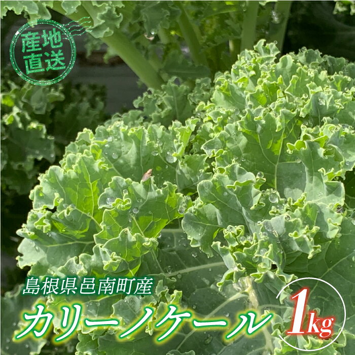 カリーノケール1kg　6月よりお届け