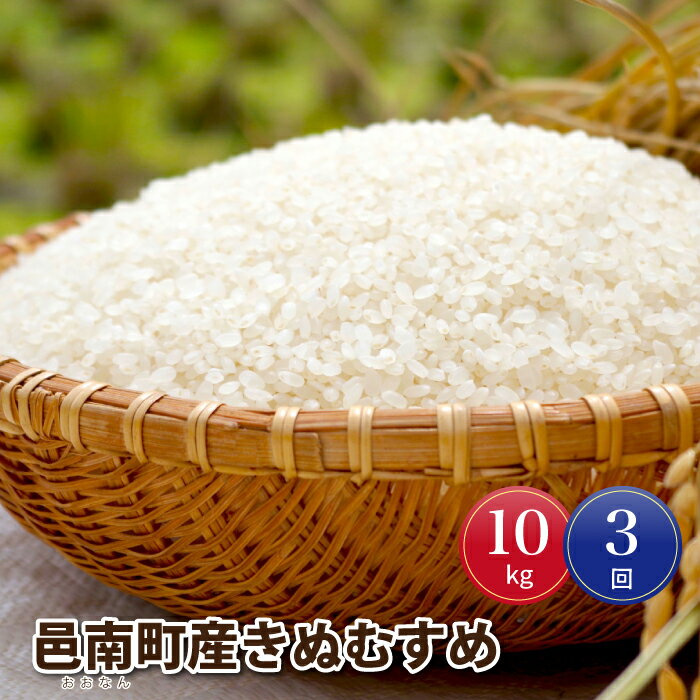 令和7年産【定期便3回】邑南町産きぬむすめ10kg