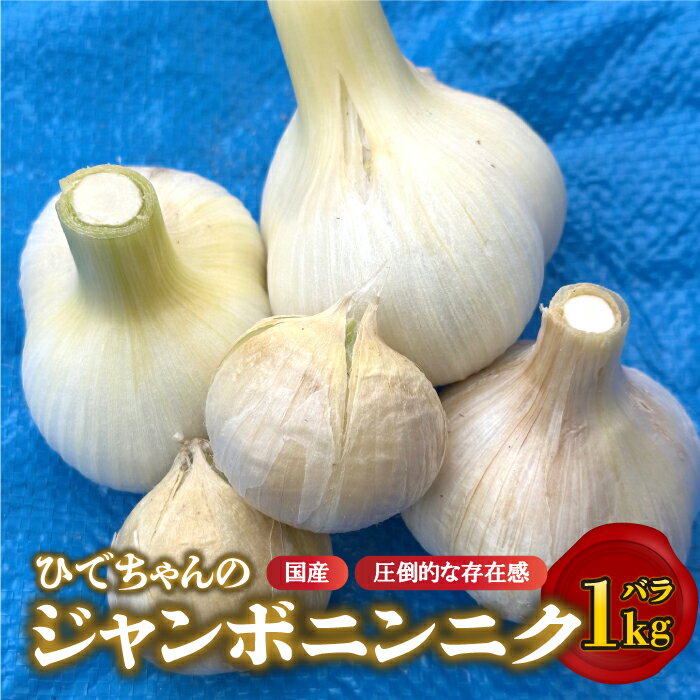 【先行予約】ひでちゃんのジャンボニンニク（バラ）1kg