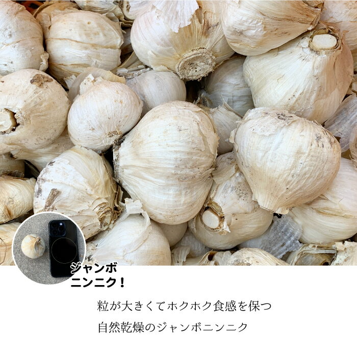 【ふるさと納税】【先行予約】ひでちゃんのジャンボニンニク（バラ）1kg - 画像3