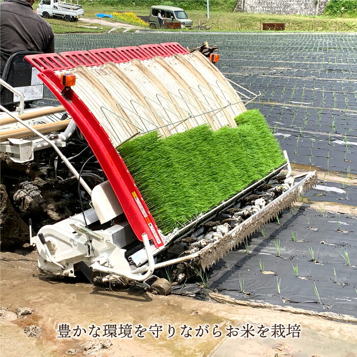 【ふるさと納税】令和7年産 有機JAS認証米 有機於保地米 つや姫10kg（5kg×2袋） - 画像3