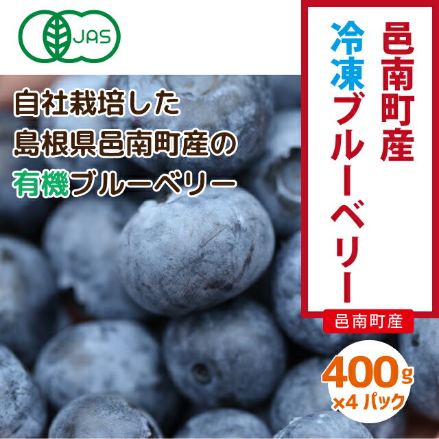 【ふるさと納税】【先行予約】有機 冷凍ブルーベリー1.6kg（400g×4袋) サムネイル2