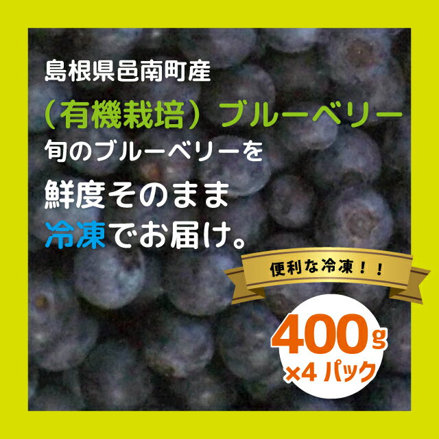 【ふるさと納税】【先行予約】有機 冷凍ブルーベリー1.6kg（400g×4袋) サムネイル3