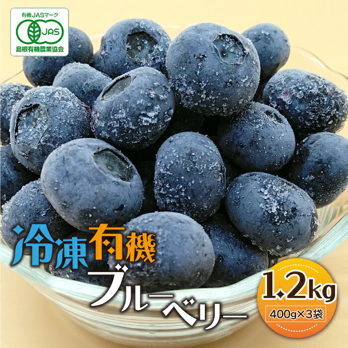 冷凍 有機ブルーベリー 1.2kg（400g×3袋）