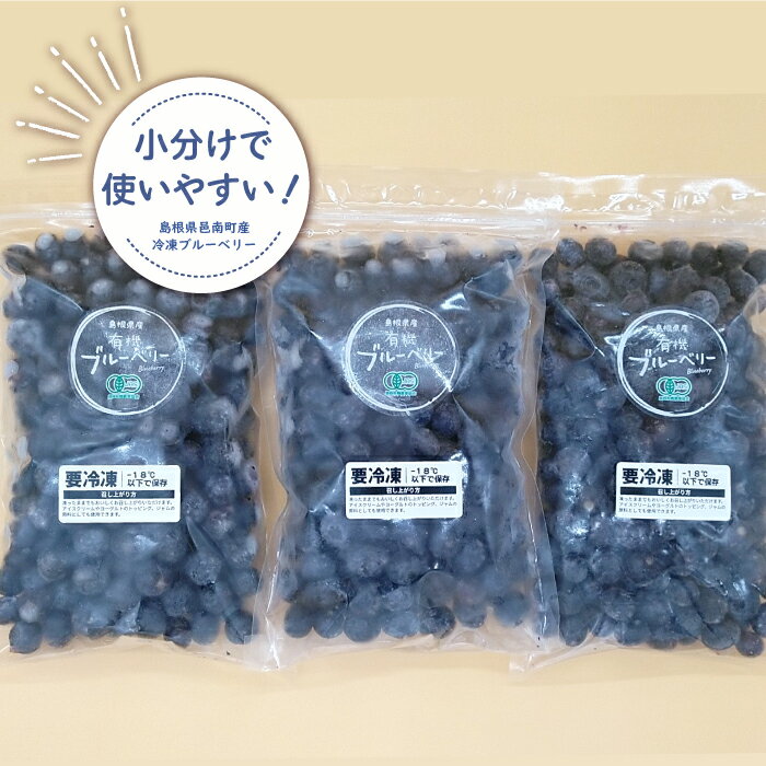 【ふるさと納税】冷凍 有機ブルーベリー 1.2kg（400g×3袋） サムネイル3