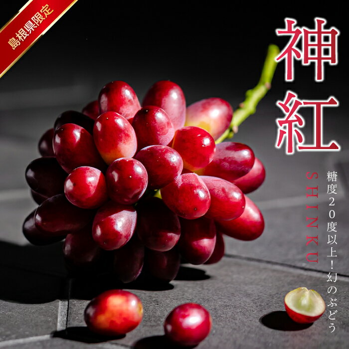【先行予約】島根県限定！幻のぶどう“神紅(しんく)” 糖度20度以上！1房（450g以上）