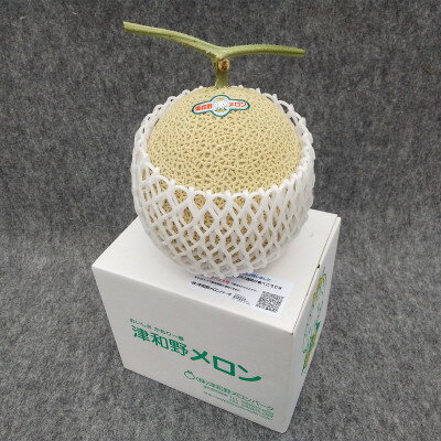 【ふるさと納税】メロンパークのメロン【2026年10月発送・2Lサイズ1玉】【1264386】 サムネイル3