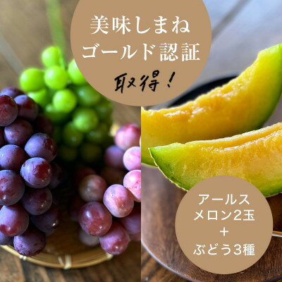 【2026年9月より順次発送・先行予約】アールスメロン2L2玉+ぶどう3種のフルーツ堪能セット【配送不可地域：離島】【1553256】