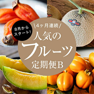 【発送月固定定期便】フルーツ定期便B 旬の美味しい果物を毎月1種全4回【配送不可地域：離島】【4014615】