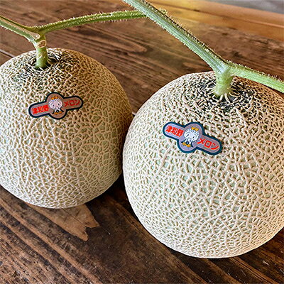 【ふるさと納税】【発送月固定定期便】フルーツ定期便B 旬の美味しい果物を毎月1種全4回【配送不可地域：離島】【4014615】 サムネイル2