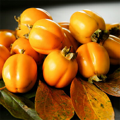 【ふるさと納税】【発送月固定定期便】フルーツ定期便B 旬の美味しい果物を毎月1種全4回【配送不可地域：離島】【4014615】 サムネイル3