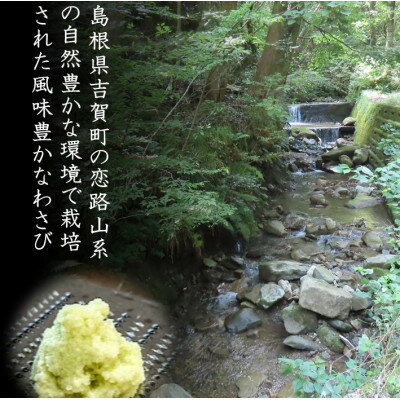 【ふるさと納税】根わさび、わさび漬けセット【配送不可地域：離島】【1259756】 サムネイル2