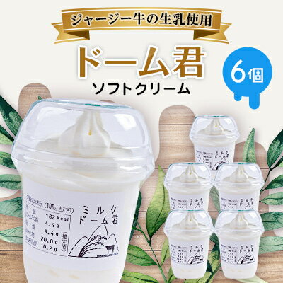 ジャージー牛の生乳を使用したソフトクリーム　ドーム君　6個入り_ ソフトクリーム ジャージー牛 ミルク 濃厚 クリーミー 冷凍スイーツ 冷凍 スイーツ 贈答 ギフト【配送不可地域：離島】【1260021】