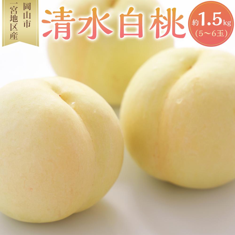 桃 2026年 清水 白桃 5～6玉入 約1.5kg 岡山市一宮地区産 もも モモ フルーツ 果物 ギフト | もも フルーツ 果物 くだもの 食品 人気 おすすめ 送料無料