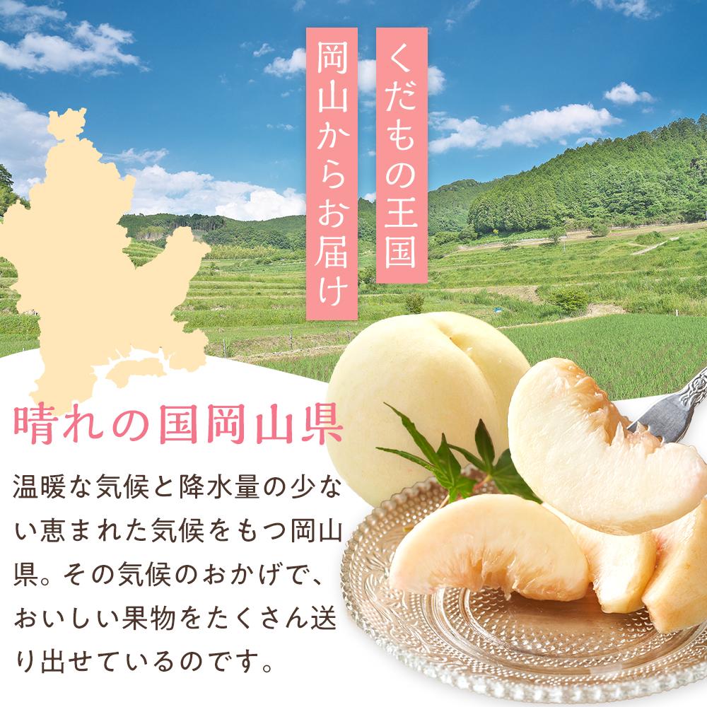 【ふるさと納税】桃 2026年 清水 白桃 5～6玉入 約1.5kg 岡山市一宮地区産 もも モモ フルーツ 果物 ギフト | もも フルーツ 果物 くだもの 食品 人気 おすすめ 送料無料 サムネイル2