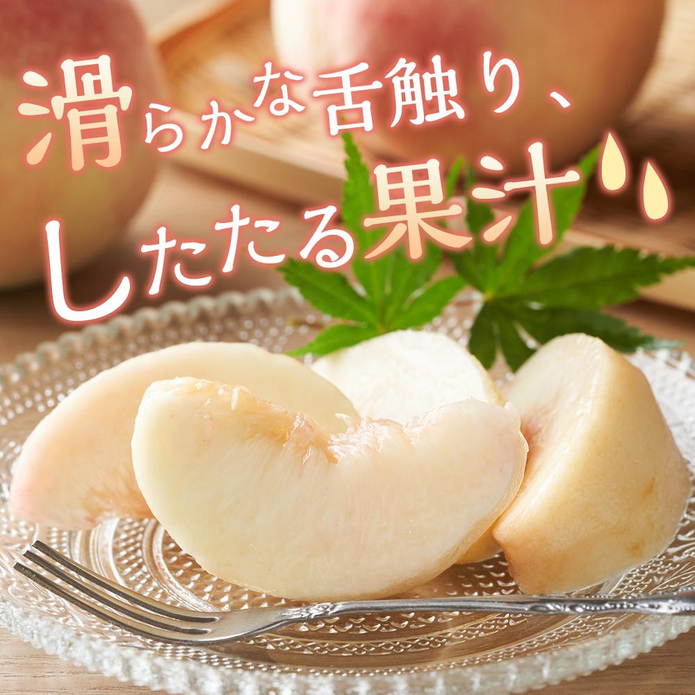 【ふるさと納税】桃 2026年 清水 白桃 5～6玉入 約1.5kg 岡山市一宮地区産 もも モモ フルーツ 果物 ギフト | もも フルーツ 果物 くだもの 食品 人気 おすすめ 送料無料 サムネイル3