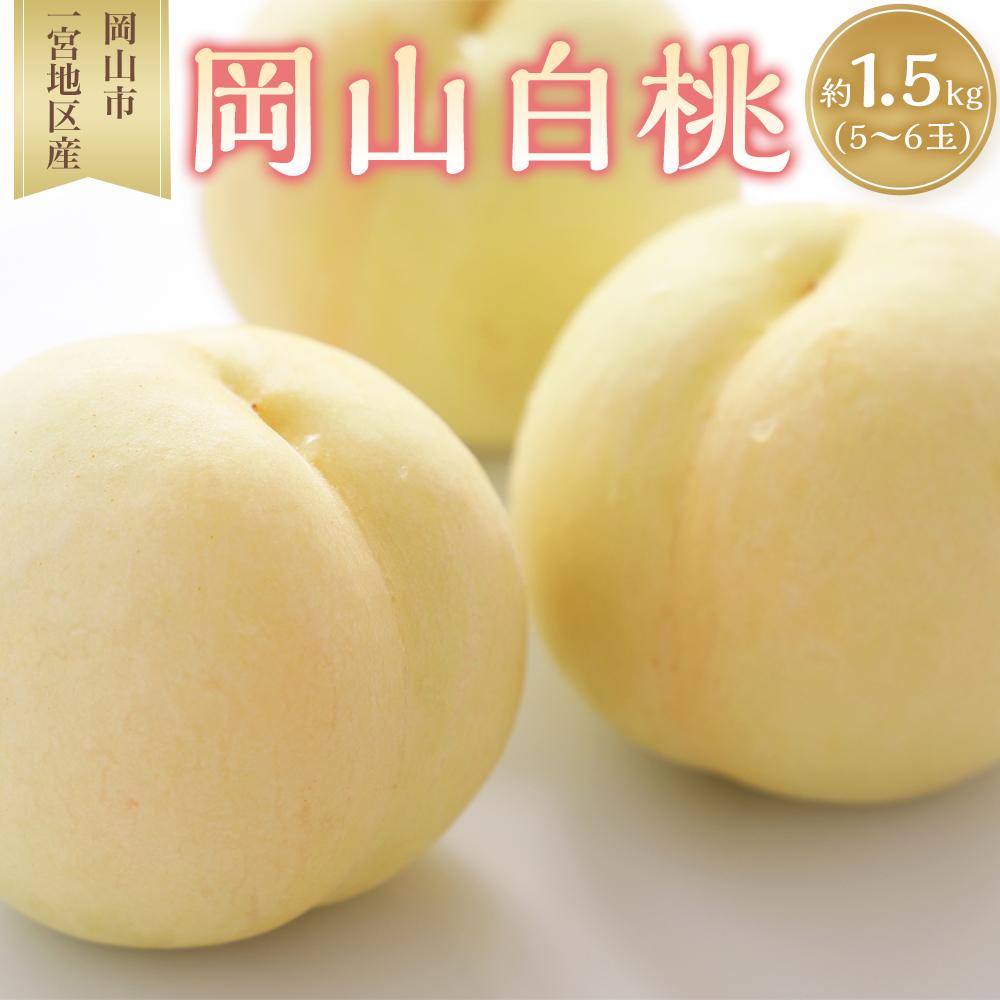 桃 2026年 岡山 白桃 5～6玉入 約1.5kg 岡山市一宮地区産 もも モモ フルーツ 果物 ギフト | もも フルーツ 果物 くだもの 食品 人気 おすすめ 送料無料