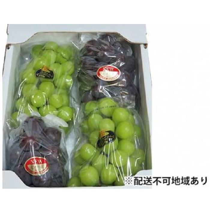 【ふるさと納税】ぶどう 2026年 岡山県産 シャインマスカット・ピオーネ 2種 詰め合わせ 計2kg（3～4房）ぶどう園AC | フルーツ 果物 くだもの 食品 人気 おすすめ 送料無料 サムネイル2