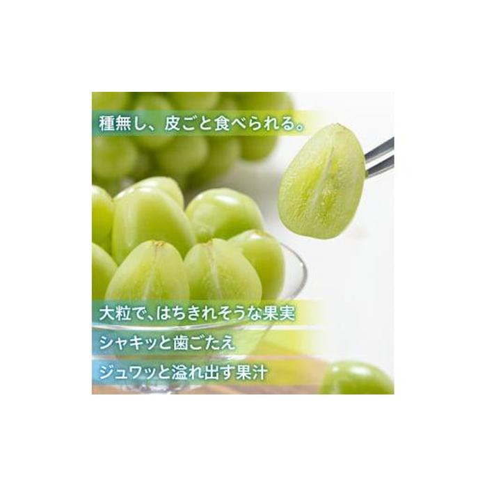 【ふるさと納税】シャイン マスカット 2026年 「MiiinoMuscat」4房（約3.2kg）ブドウ 葡萄 岡山 国産 フルーツ 果物 ギフト | フルーツ 果物 くだもの 食品 人気 おすすめ 送料無料 サムネイル3