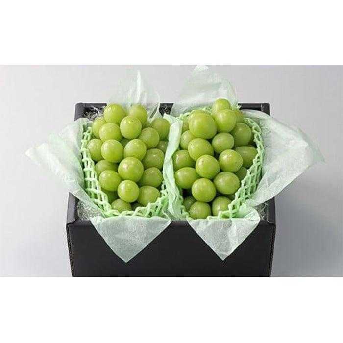 ぶどう 2026年 農家こだわりのシャインマスカット 2房 合計約1.2kg 贈答クラス【 Nini farm 農家 直送 】 | フルーツ 果物 くだもの ぶどう ブドウ シャインマスカット 岡山県産 人気 おすすめ 送料無料 ギフト