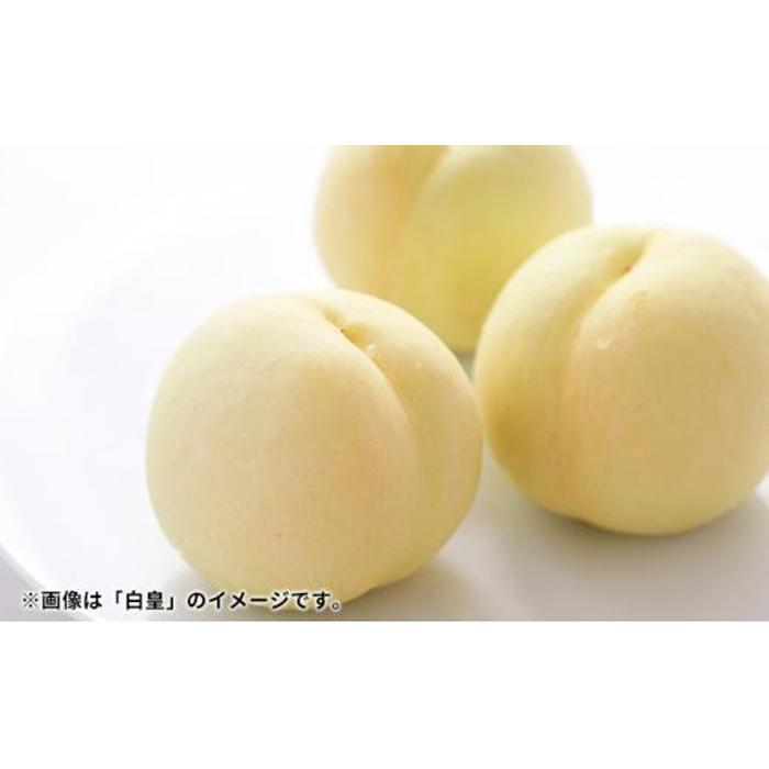 【ふるさと納税】桃 2026年 岡山の桃（晩生種）約1.6kg 4~6玉 もも モモ 岡山県産 国産 フルーツ 果物 ギフト 横木農園 | もも フルーツ 果物 くだもの 食品 人気 おすすめ 送料無料 サムネイル2