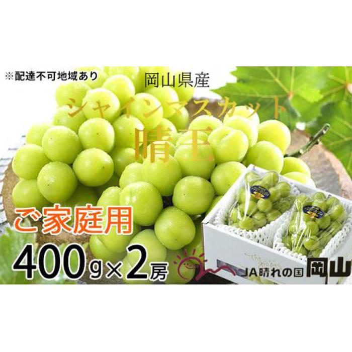 ぶどう 2026年 ご家庭用 シャイン マスカット 晴王 約400g×2房 ブドウ 葡萄 岡山県産 国産 フルーツ 果物 | フルーツ 果物 くだもの 食品 人気 おすすめ 送料無料