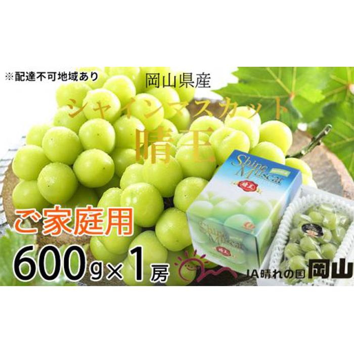 ぶどう 2026年 ご家庭用 シャイン マスカット 晴王 約600g×1房 ブドウ 葡萄 岡山県産 国産 フルーツ 果物 | フルーツ 果物 くだもの 食品 人気 おすすめ 送料無料