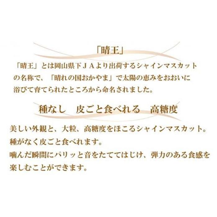 【ふるさと納税】ぶどう 2026年 ご家庭用 シャイン マスカット 晴王 約600g×1房 ブドウ 葡萄 岡山県産 国産 フルーツ 果物 | フルーツ 果物 くだもの 食品 人気 おすすめ 送料無料 サムネイル2