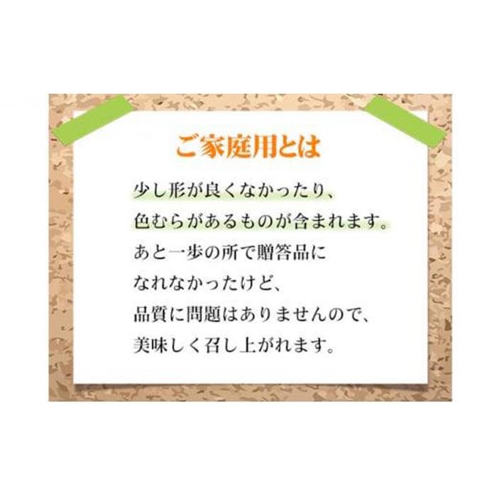 【ふるさと納税】ぶどう 2026年 ご家庭用 シャイン マスカット 晴王 約600g×1房 ブドウ 葡萄 岡山県産 国産 フルーツ 果物 | フルーツ 果物 くだもの 食品 人気 おすすめ 送料無料 サムネイル3