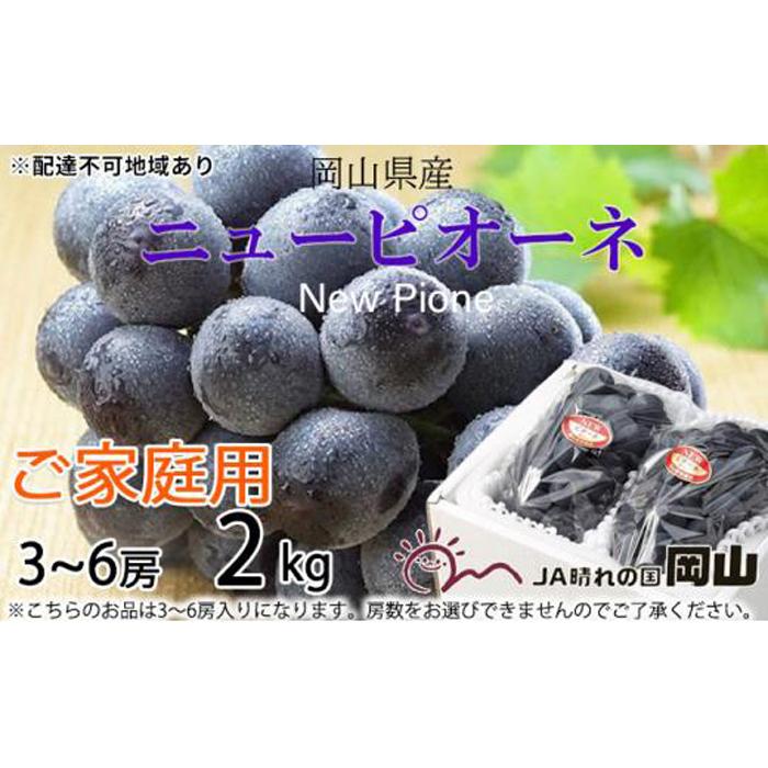 ぶどう 2026年 ご家庭用 ニュー ピオーネ 3～6房 約2kg ブドウ 葡萄 岡山県産 国産 フルーツ 果物 | フルーツ 果物 くだもの 食品 人気 おすすめ 送料無料