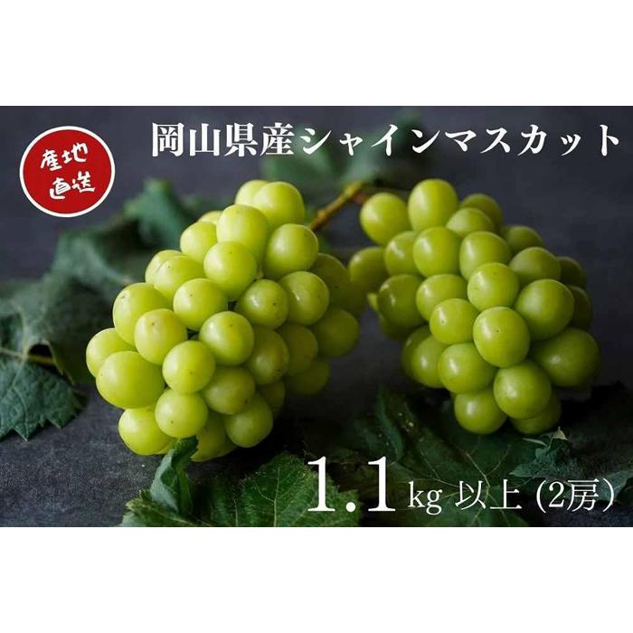 厳選 シャインマスカット 2房 合計1.1kg以上 産地直送 朝採れ ぶどう 葡萄 Kawahara Green Farm 岡山県産 2026年 | フルーツ 果物 くだもの 食品 人気 おすすめ 送料無料